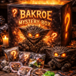 Bakroe Mystery Box